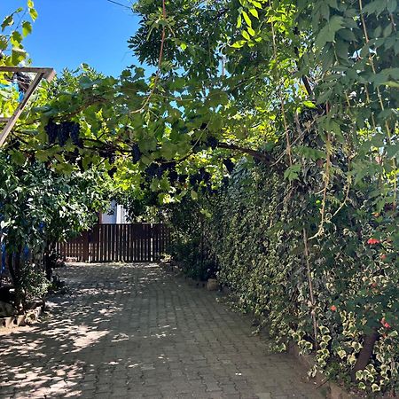 Downtown Guest House Kutaisi Bagian luar foto