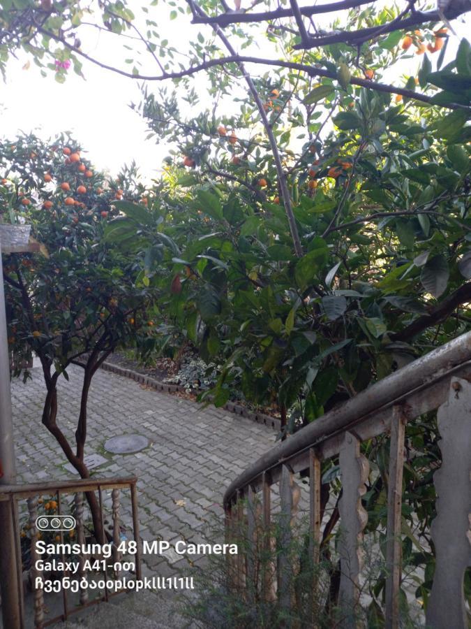 Downtown Guest House Kutaisi Bagian luar foto