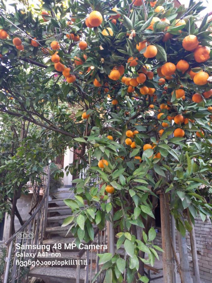 Downtown Guest House Kutaisi Bagian luar foto