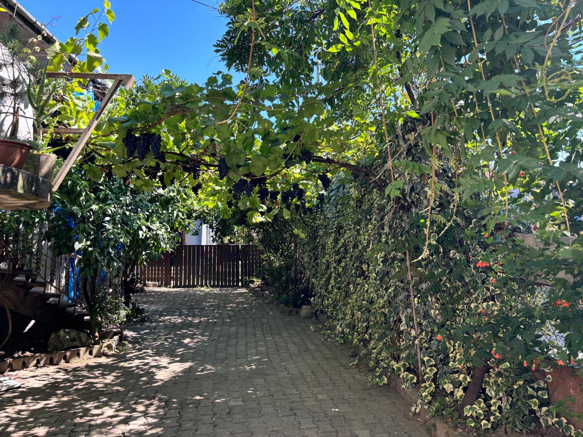 Downtown Guest House Kutaisi Bagian luar foto