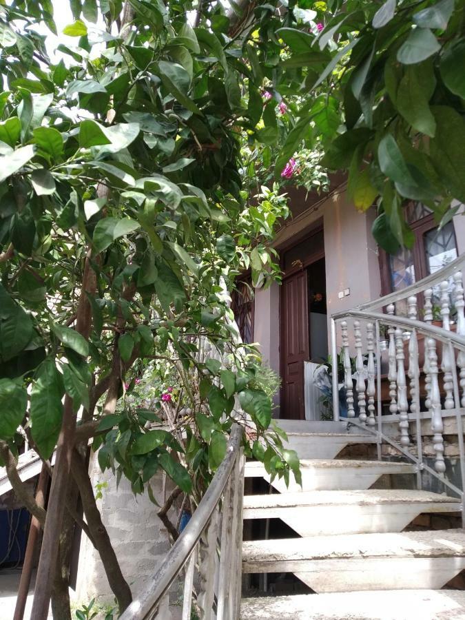 Downtown Guest House Kutaisi Bagian luar foto