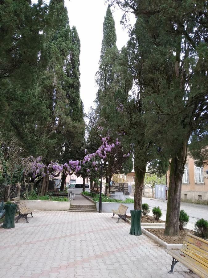 Downtown Guest House Kutaisi Bagian luar foto