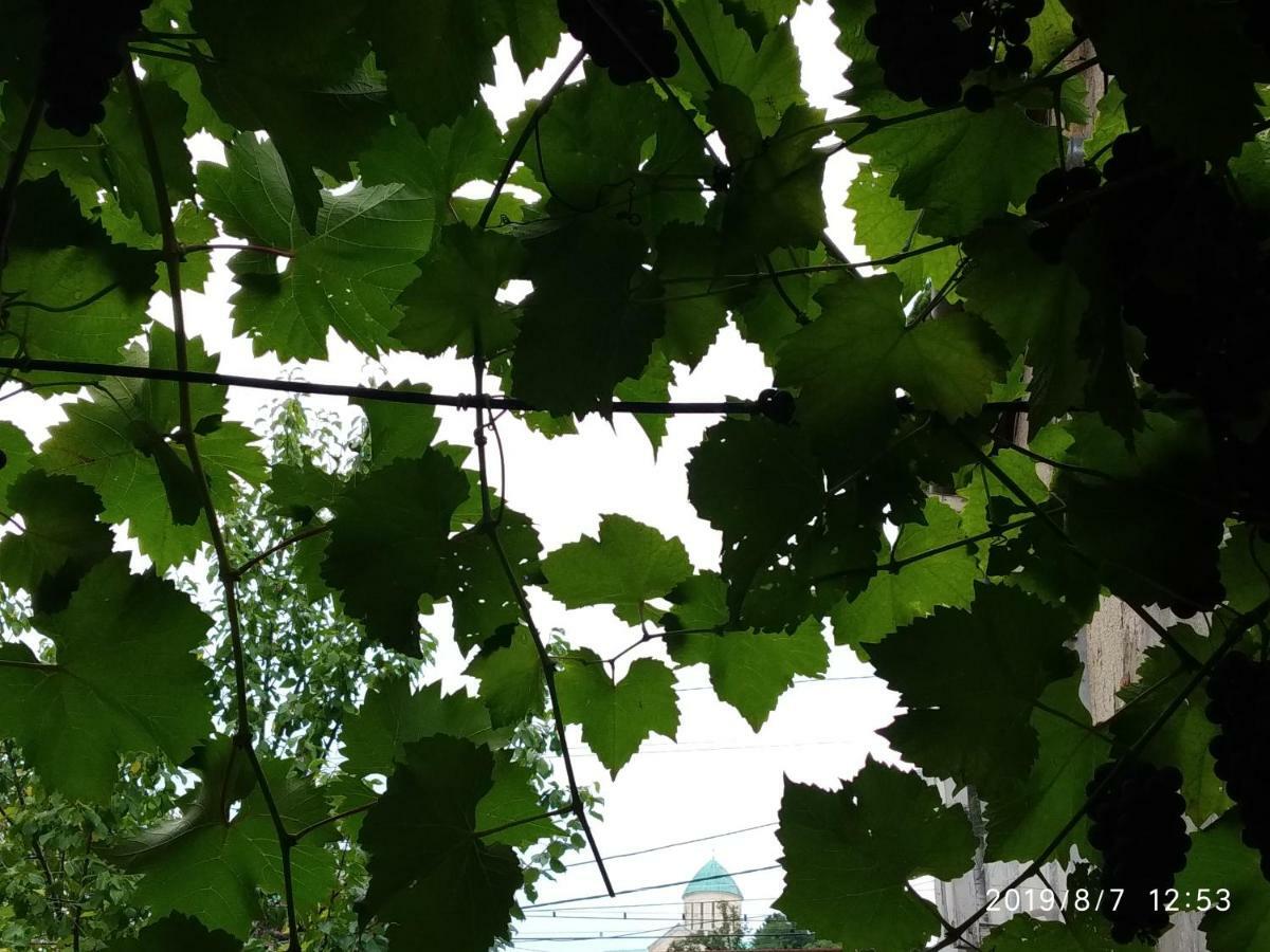 Downtown Guest House Kutaisi Bagian luar foto