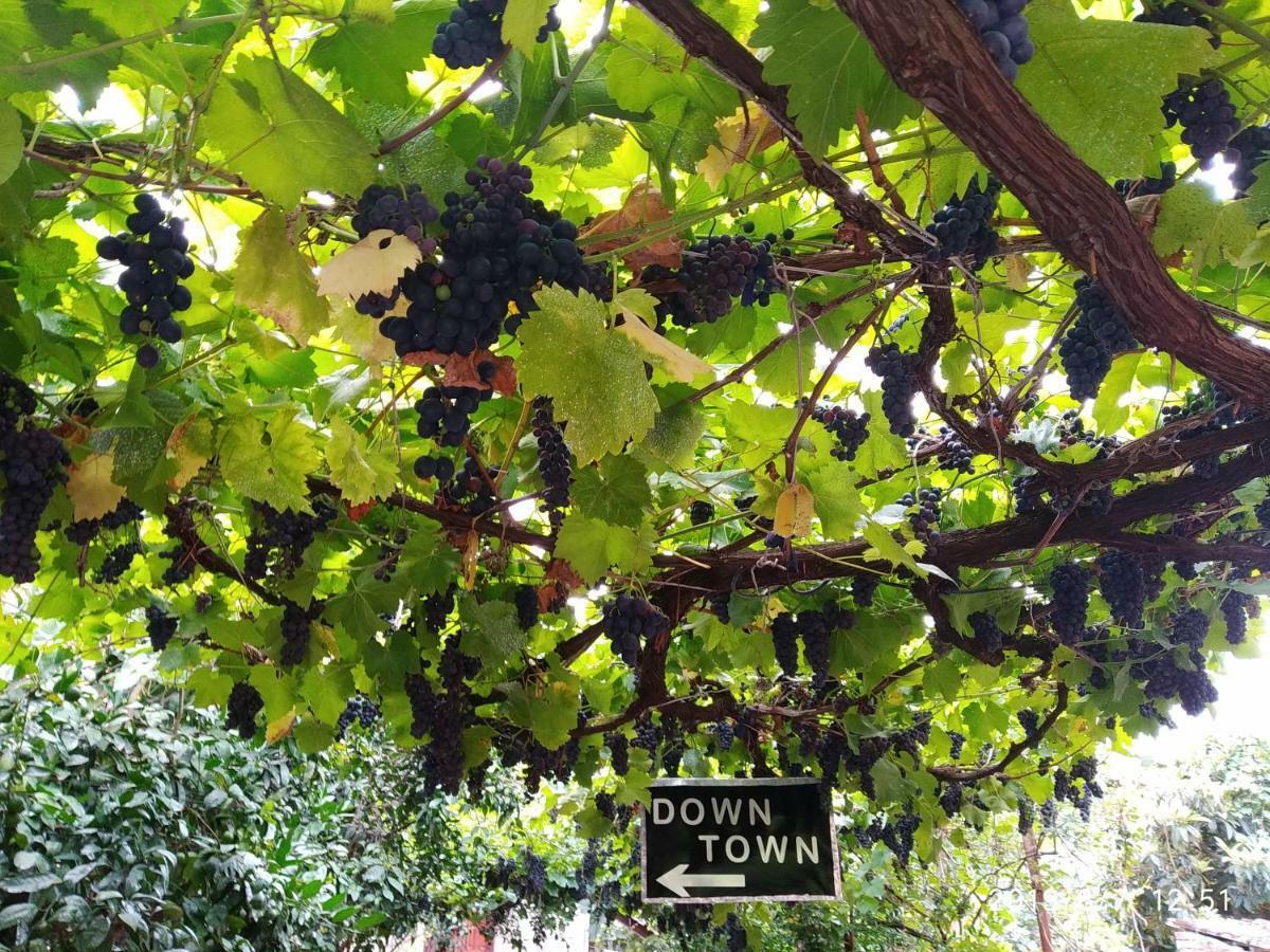 Downtown Guest House Kutaisi Bagian luar foto
